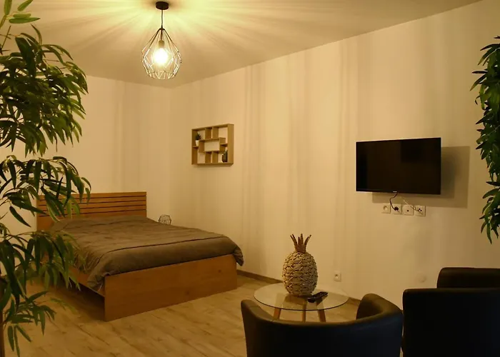 Appartement Tropical et JACUZZI Balnéothérapie Draveil