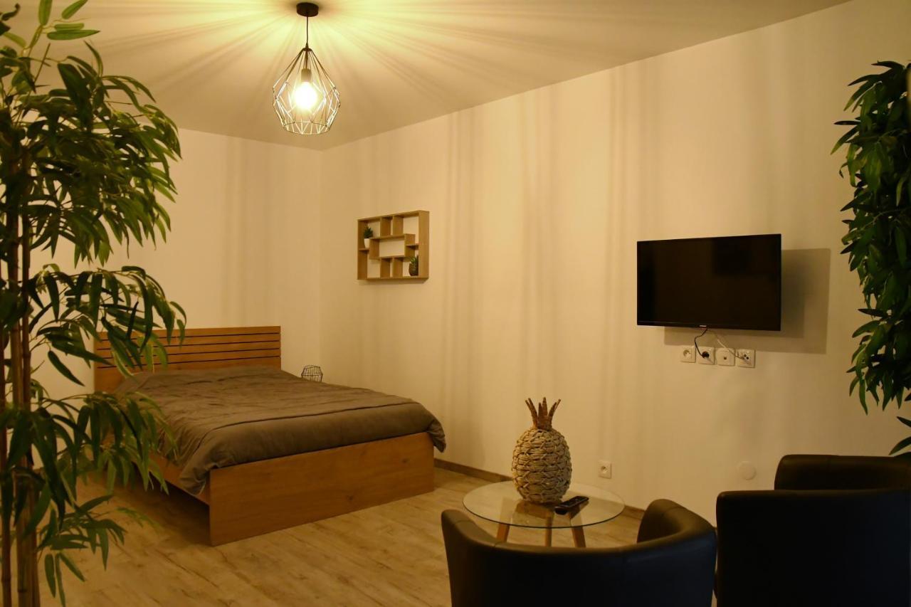 Tropical Et Jacuzzi Balnéothérapie Appartement Draveil